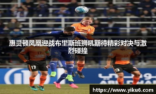 惠灵顿凤凰迎战布里斯班狮吼期待精彩对决与激烈碰撞